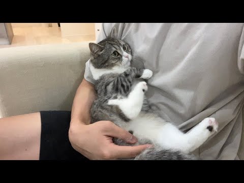 仕事に行こうとすると寂しくて離してくれなくなる猫がかわいすぎた…(YouTube)
