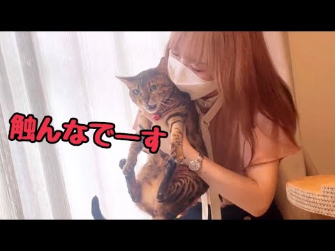 【慢性腎不全】最近体重が落ちてきてしまったので先生に相談しに行きます🏥(YouTube)