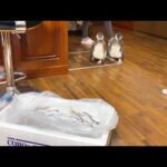 大漁のアジが届いた時の赤ちゃんペンギンの反応が可愛すぎた(YouTube)