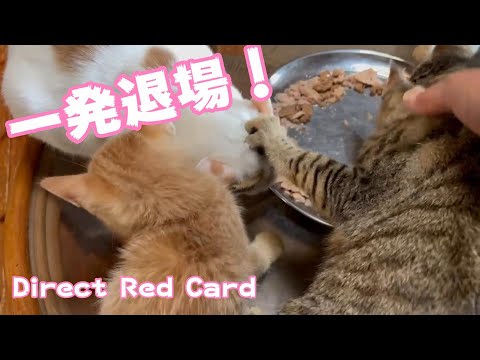 1発退場! Direct Red Card(YouTube)