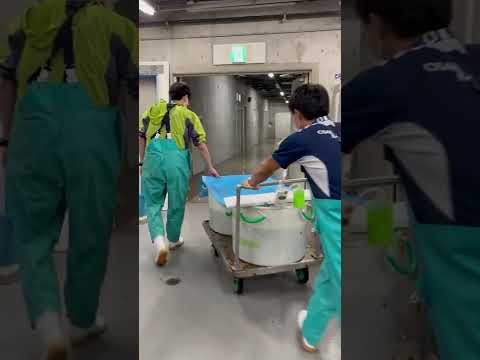 【海遊館】イワシの大移動　Moving the Fish(YouTube)