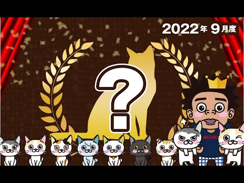 【猫動画】2022年9月度べすとにゃんとも〜にゃんともパレード〜#229(YouTube)