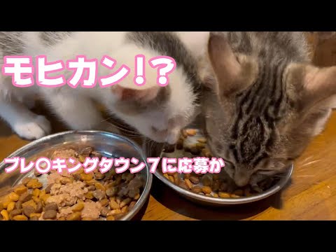 モヒカンにしてブレイ〇ングタウン７狙います(YouTube)