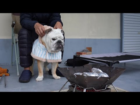 愛犬&パパだけで秋の焼き芋大会したら幸せ過ぎた！(YouTube)