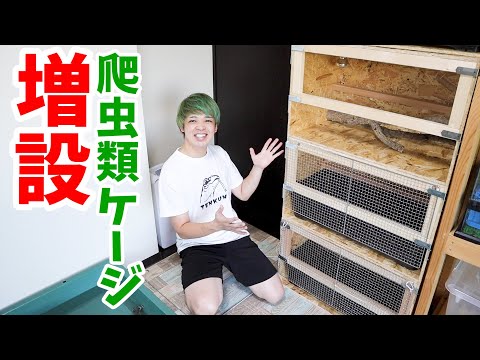 利便性の高い爬虫類ケージを4つ増設しました(YouTube)