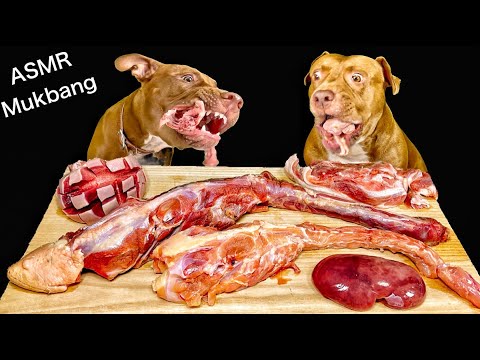 最強な犬ピットブルが生肉や骨をボリボリ噛み砕く咀嚼音がクセになる【ASMR】(YouTube)
