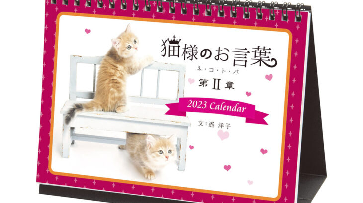 子猫の写真と作家・遙洋子さんの言葉に癒やされる、毎年恒例「猫様のお言葉」カレンダー第2章が発売(ブログ)