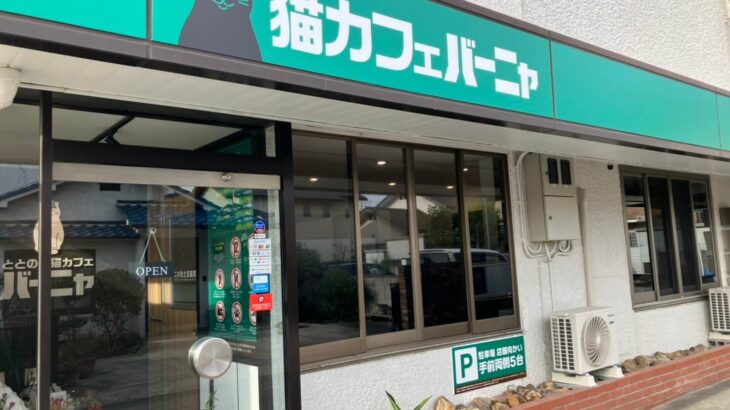サウナ風の店内でゆったり猫とくつろげる♪ 譲渡型の保護猫カフェ「バーニャ」群馬・高崎にオープン(ブログ)