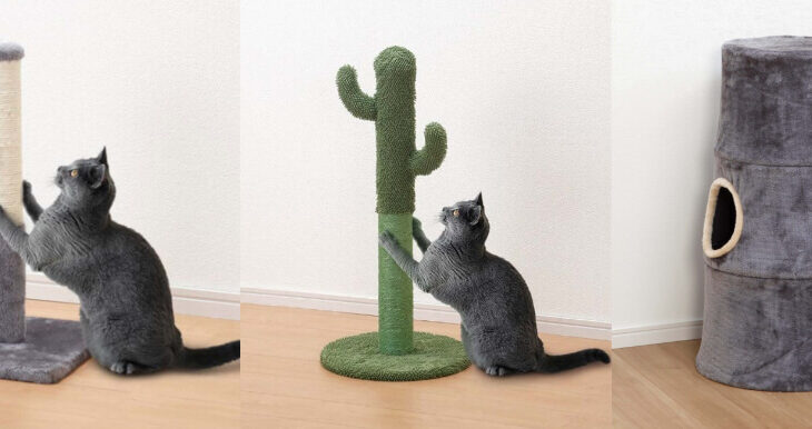 猫用のメゾネットマンションやサボテン型の爪とぎも！コメリのペット用品ブランドから新商品が登場(ブログ)