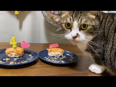 ひのき猫と違って豪華に祝ってもらえるゆず&ぽんずが幸せそうで良かった(YouTube)