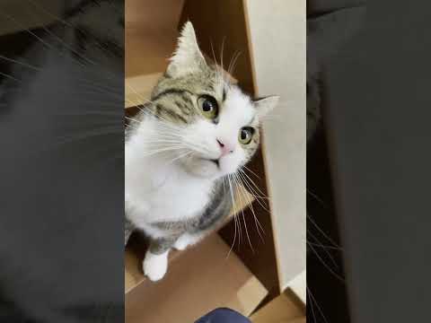 そんなに臭い？(YouTube)