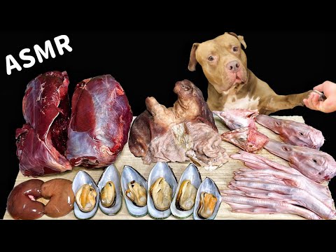 【閲覧注意ASMR】豪華な食事を堪能するピットブルの咀嚼音が気持ち良すぎる(YouTube)
