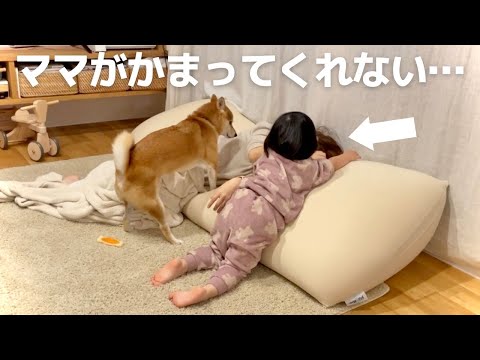 仕事で疲れたママがかまってくれず隣でイチャイチャし始める柴犬と娘(YouTube)