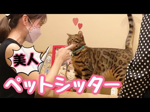 美人ペットシッターにオス猫がメロメロです(YouTube)