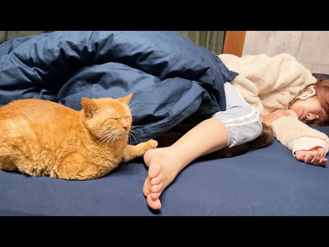 世界一優しいママの起こし当番(YouTube)