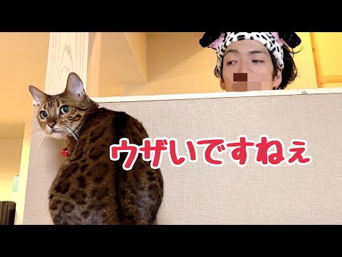 お世話を頑張るのに愛猫に嫌われちゃう旦那さん(YouTube)