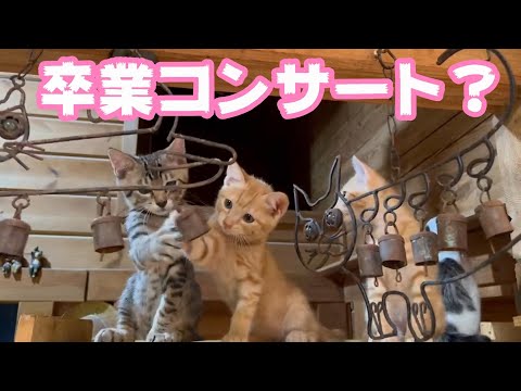 2022 11 04youtube(YouTube)
