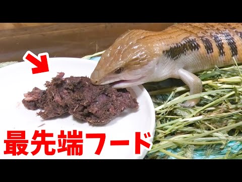【スペシャルフード】プロの爬虫類飼育者に餌の作り方を教えてもらいました(YouTube)