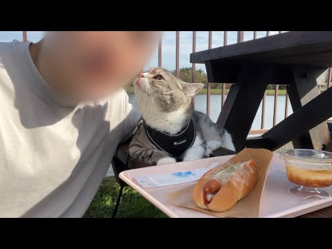 猫と遊園地で1日デートしたら楽しすぎてこうなりました笑(YouTube)