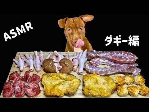 【肉テロASMR】骨付き肉や調理した肉をうまそうに食べるピットブルがかわいすぎる(YouTube)