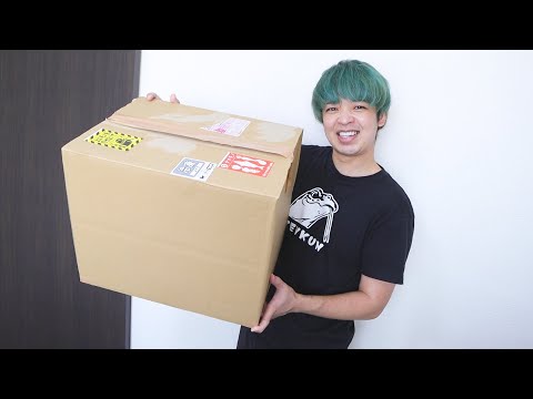 最先端な爬虫類のご飯が届いたのでオオトカゲに食べさせてみた(YouTube)