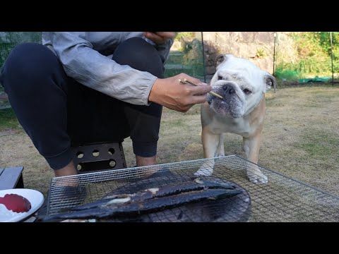 漢ふたりで青空の下、サンマの七輪焼き食べながら田舎暮らしを語り合ってみた！(YouTube)