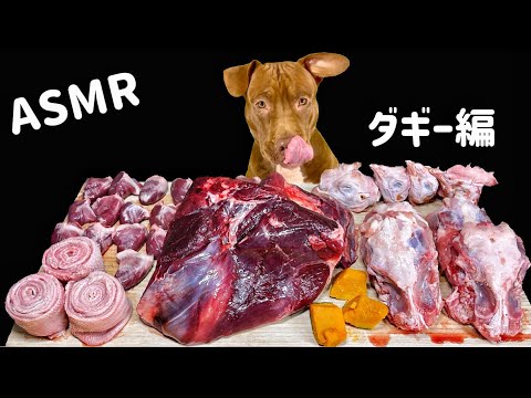 衝撃の音!!ピットブルの咀嚼音の睡眠導入効果がやばい【閲覧注意ASMR】(YouTube)