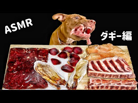 【閲覧注意ASMR】ひたすら骨を噛み砕くピットブルの咀嚼音が眠気を誘う(YouTube)
