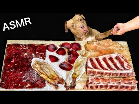 【閲覧注意ASMR】骨を噛み砕くピットブルの咀嚼音がクセになる(YouTube)