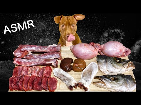 【閲覧注意ASMR】手作りジャーキや骨付き肉を食べるピットブルの咀嚼音がヤバすぎる(YouTube)