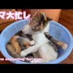ママは大忙し！　Don’t hijack my mom(YouTube)