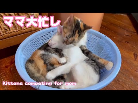 ママは大忙し！　Don’t hijack my mom(YouTube)