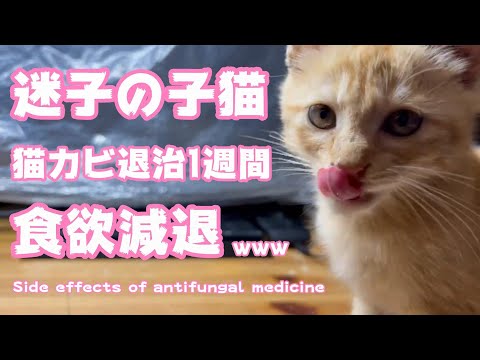 副作用？食欲減退www(YouTube)