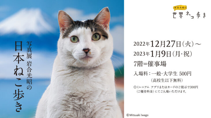 人気ネコ番組の10周年記念！写真展「岩合光昭の日本ねこ歩き」そごう大宮店で年末年始も開催(ブログ)