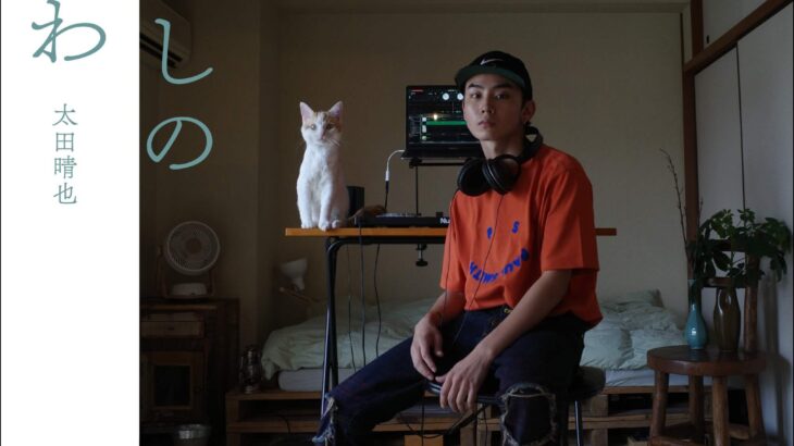 インフルエンサー太田晴也の愛猫が写真集デビュー『和室暮らしのちくわ』が刊行、SNSでは未公開の秘蔵写真も収録(ブログ)