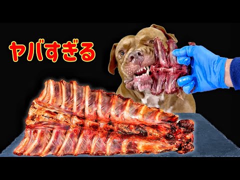 異常の顎の力で骨を粉砕するピットブルの咀嚼音【閲覧注意ASMR】(YouTube)
