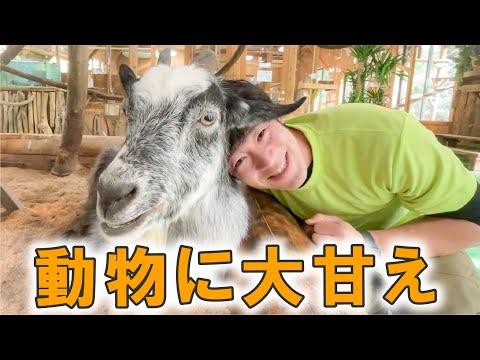 飼育員が動物に甘たら、意外な反応だった！？(YouTube)