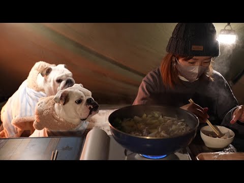 【気温０度】親ブル初のソロキャンプ＆鍋に子ブル２匹大歓喜WWW!(YouTube)