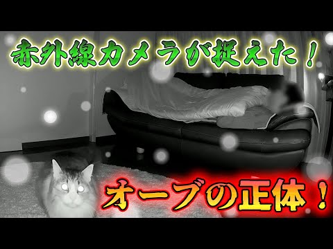 「オーブが映ってます！」先日アップした動画に大量のご指摘や心配する声が寄せられていたので、赤外線カメラでその正体を暴きました‥【＃オーブ＃玉響現象】(YouTube)