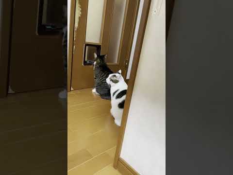 なに待ちなん？(YouTube)