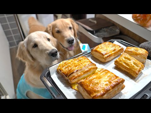 完全に自分のアップルパイだと信じてる愛犬の圧が凄いw(YouTube)