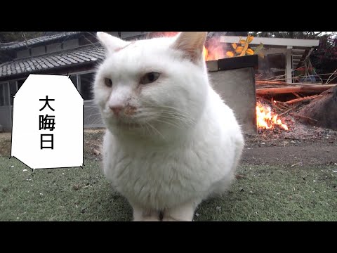 ２０２２年もありがとうございました(YouTube)