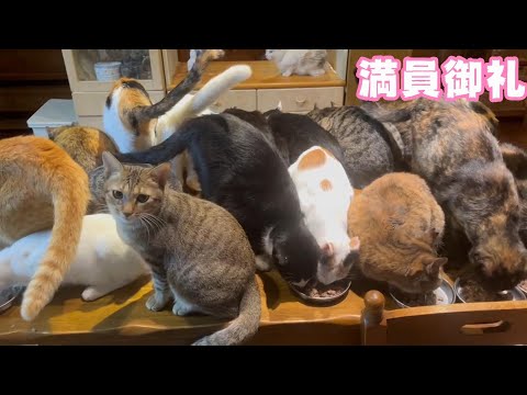 満員御礼 　秋がきた(YouTube)