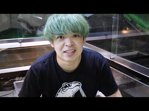 【ガチ】爬虫類お迎え！(YouTube)