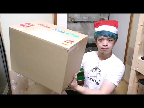 クリスマスプレゼントでゴギブリ1kg届きました(YouTube)