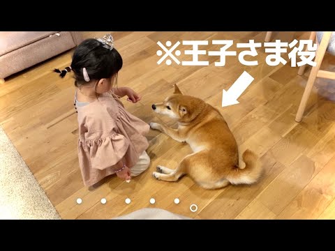 お姫さまごっこに付き合わされる柴犬(YouTube)