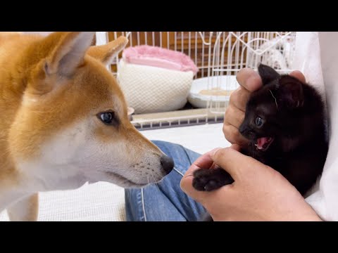 あれから7ヶ月…！今年も終わります。(YouTube)