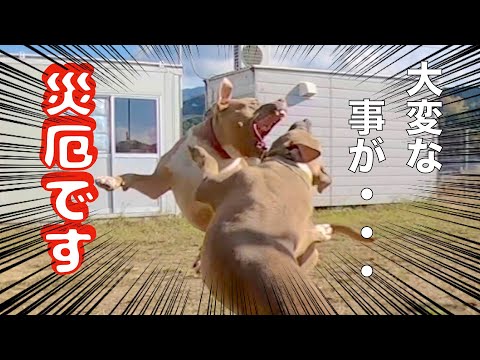 【重大報告】大変な事になってしまいました(YouTube)