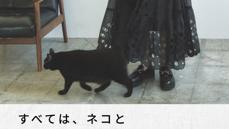 黒猫とお散歩している気分になれそう♪ブラックを基調としたファッションブランドから黒猫モチーフのポーチ＆バッグが発売(ブログ)