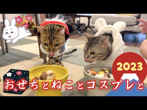 ルトとロゼ、おせちを食べて新年を祝う【2023年】(YouTube)
